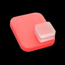 多様性と豊かさ